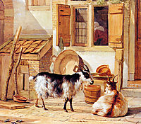 Two goats in a yard , abrahamvanstrij