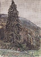The large pine in Gastein, 1895, altrudolf