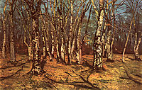 Beech Forest, andreescu