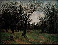 Leafless forest, andreescu