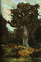 The Oak, andreescu