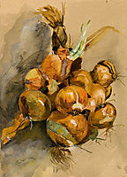 Onions, andreescu