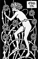 Hermaphrodite Among Roses, 1894, beardsley