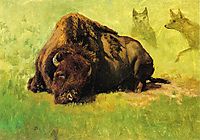 Bison with Coyotes in the Background, bierstadt