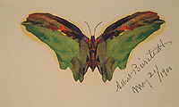 Butterfly, 1900, bierstadt
