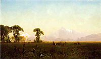 Deer Grazing, Grand Tetons, Wyoming, 1861, bierstadt