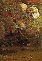 Ferns and Rocks on an Embankment, 1869, bierstadt