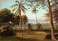 Florida Scene, bierstadt