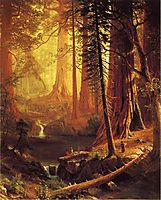 Giant Redwood Trees of California, 1874, bierstadt