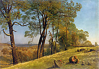 Landscape, Rockland County, California, c.1872, bierstadt