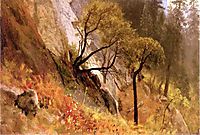 Landscape Study. Yosemite, California, bierstadt