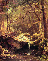 The Mountain Brook, 1863, bierstadt