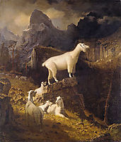 Rocky Mountain Goats, 1885, bierstadt