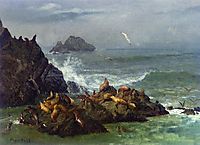 Seal Rocks, Pacific Ocean, California, c.1872, bierstadt