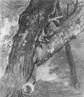 Study of a Tree, 1864, bierstadt
