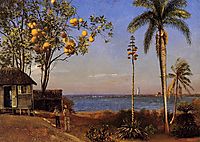 A View in the Bahamas, c.1879, bierstadt