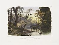 Cutoff River, Branch of the Wabash, plate 8 from Volume 1 of -Travels in the Interior of North America-, 1843, bodmer