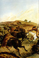Indians Hunting The Bison [ Left ], 1832, bodmer