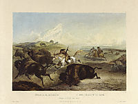 Indians hunting the bison, plate 31 from Volume 2 of -Travels in the Interior of North America- , 1834, bodmer