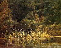 River Scene with Barn Swallows, bodmer