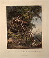 Tombs of Assiniboin Indians on Trees, plate 30 from volume 1 of `Travels in the Interior of North America-, 1832, bodmer