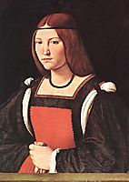 Portrait of a Young Woman, boltraffio