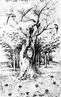 The Hearing Forest and the Seeing Field, bosch