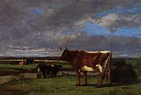 Cows near the Toques, boudin