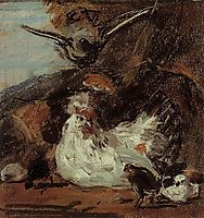 A Hen and Her Chicks (after Melchior d-Hondecoeter), boudin
