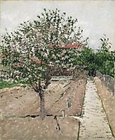 Apple Tree in Blossom, c.1885, caillebotte
