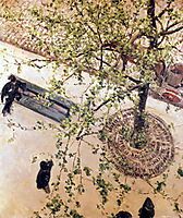 Boulevard seen from above, 1880, caillebotte
