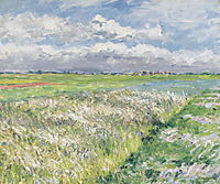 Fields, Plain of Gennevilliers, c.1884, caillebotte