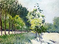 Orchard and avenue of trees, c.1894, caillebotte
