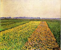 The Yellow Fields at Gennevilliers, 1884, caillebotte