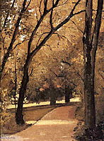 Yerres, Path Through the Old Growth Woods in the Park, c.1878, caillebotte