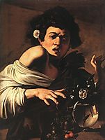 Boy bitten by a Lizard, 1594, caravaggio