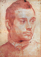 Portrait of a man, carracci
