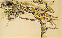 Large Pine , c.1905, cezanne