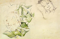 Madame Cezanne with Hortensias, 1885, cezanne