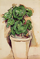 Pot of Geraniums , c.1885, cezanne