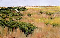 Landscape, near Coney Island, 1886, chase