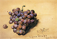 Topaz Grapes, 1870, chase