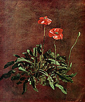 Study for poppies , constable