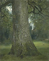 Study of the Trunk of an Elm Tree, 1821, constable