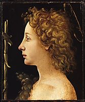 The Young Saint John the Baptist, 1480, cosimo