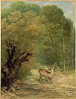 The Hunted Deer, Spring, 1867, courbet