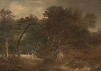 Woodland Landscape near Norwich, 1812, crome