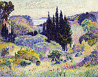 Cypress, April, 1904, cross