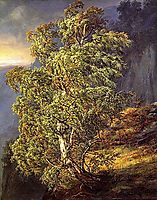 Bjerk i storm, 1848, dahl