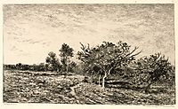 Apple Trees at Auvers, 1877, daubigny